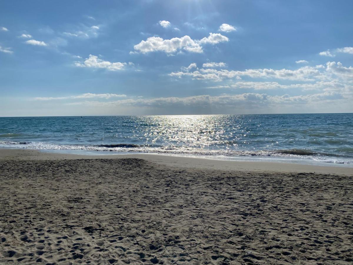 Dimora Novella Lejlighed Lido di Ostia Eksteriør billede